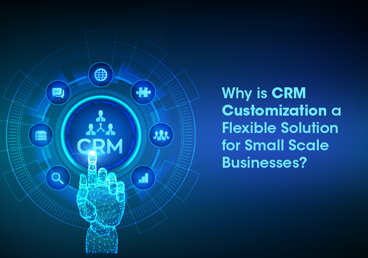 Why Is Crm Customization A Flexible Solution For Small Scale Businesses